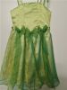 Kids Costumes to Hire - Tinkerbell GIRL dress